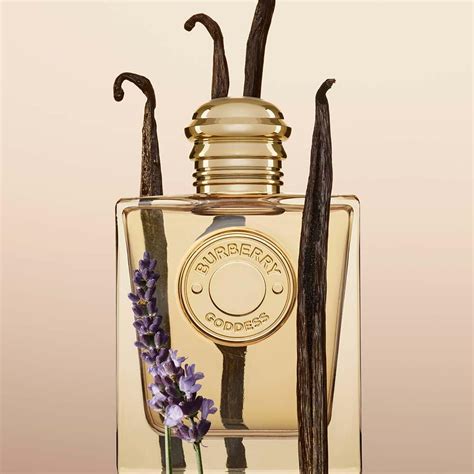 ici paris burberry body